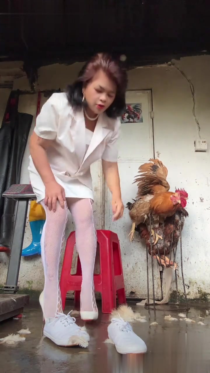 姐姐杀鸡不见血！