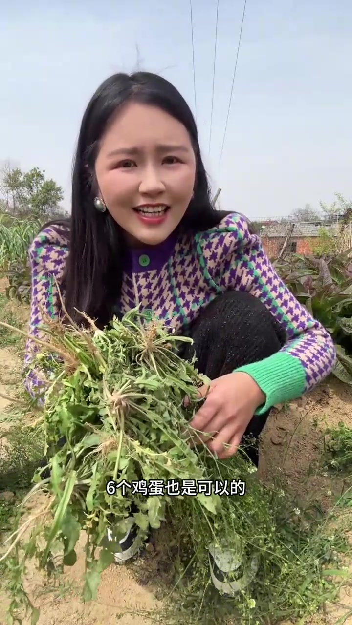 农历三月三,荠菜煮鸡蛋。吃它有什么好处?你们那里有这传统吗?