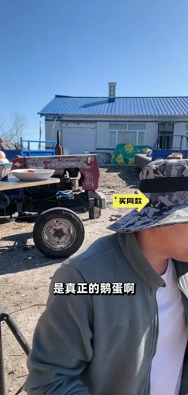 鹅蛋煮后剥皮难?放5天再吃超轻松!新鲜鹅蛋这样选