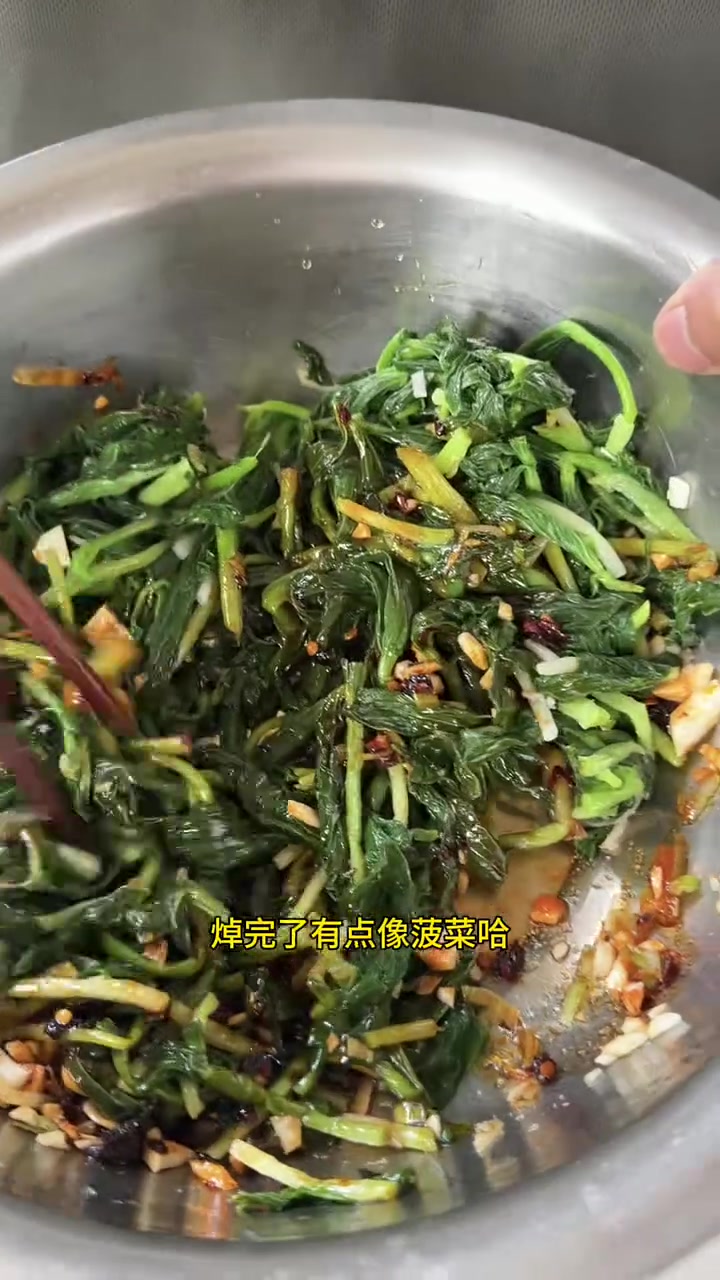 你们那边山野菜都过季了吧,我们这才刚刚开始,今天上山收获一筐山糜子。#2026星农人节 #