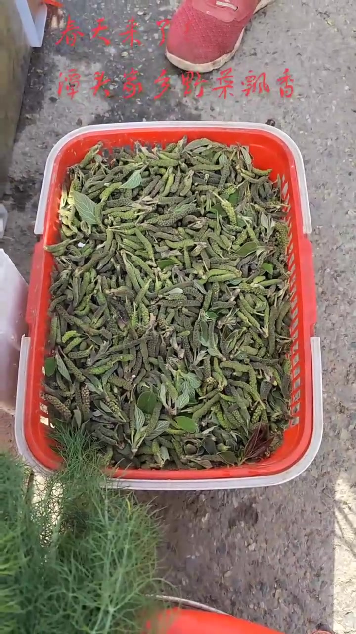 家乡集市野菜市场,木兰芽正热销,是家乡人副业!