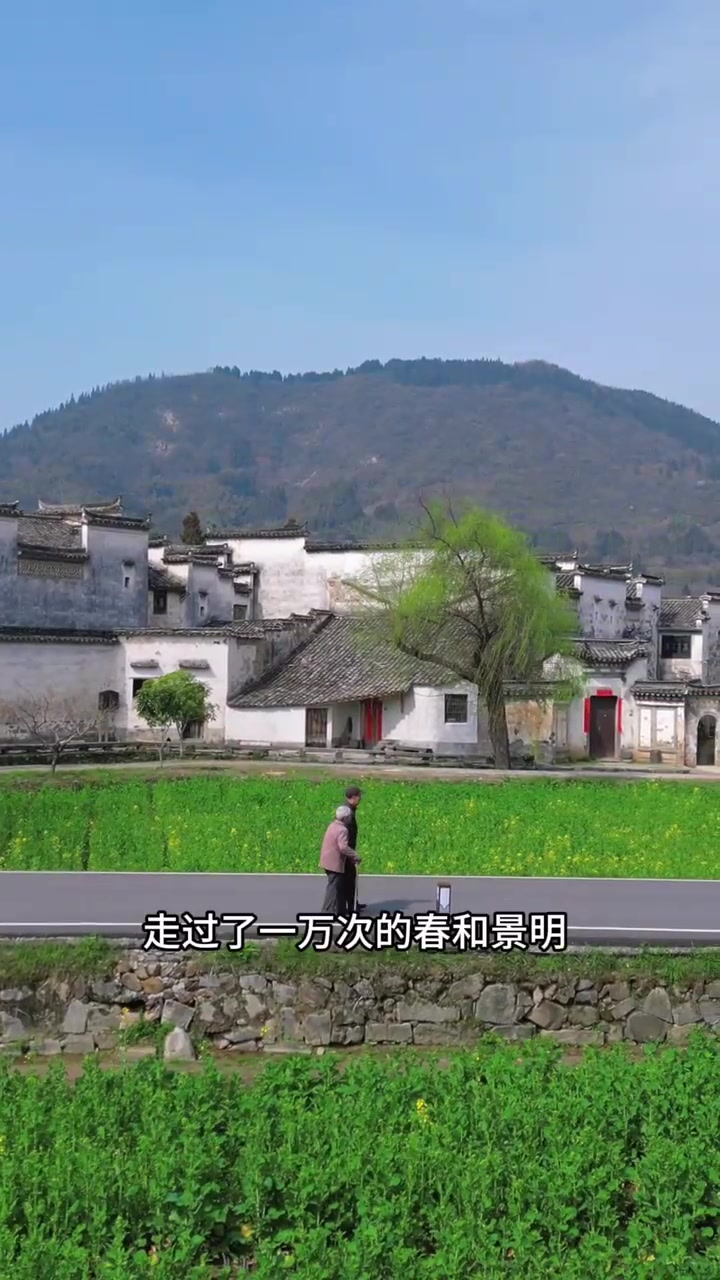 一个人用周末24小时去黄山吃臭鳜鱼和爬黄山是一种怎样体验