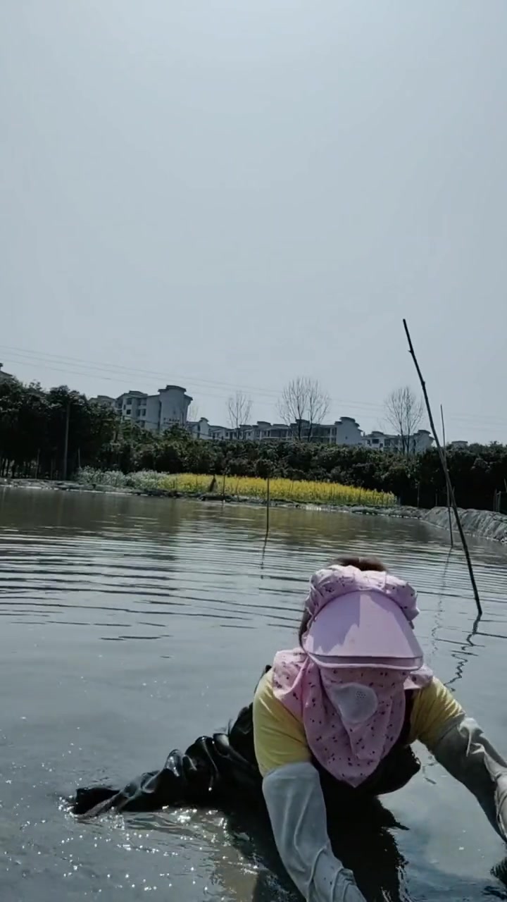 终于完工可以放鱼苗了天柱的友友们知道哪里有鱼苗卖不