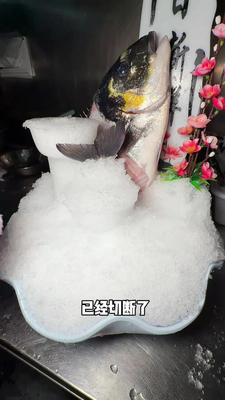 广东太会做鱼了,广州顺德鱼生绝了