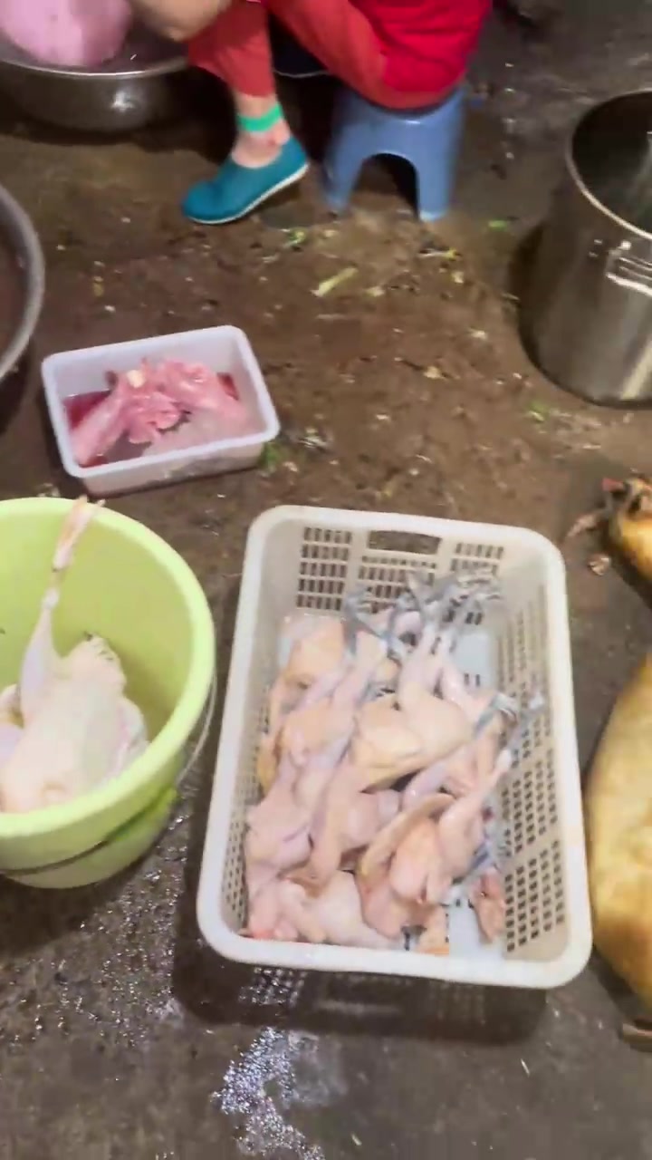 这不比过年还热闹呀!杀鸡杀鸭杀羊杀鱼,各种杀