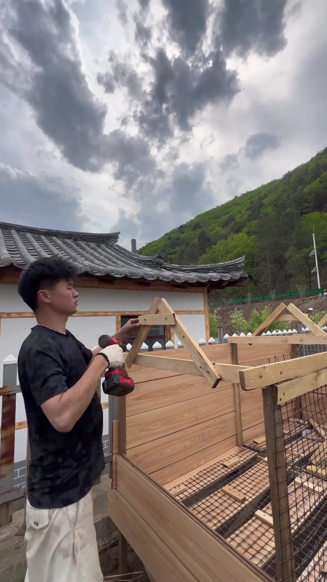自制鸡笼不到100元,养小鸭还是小鸡?乡村生活日常