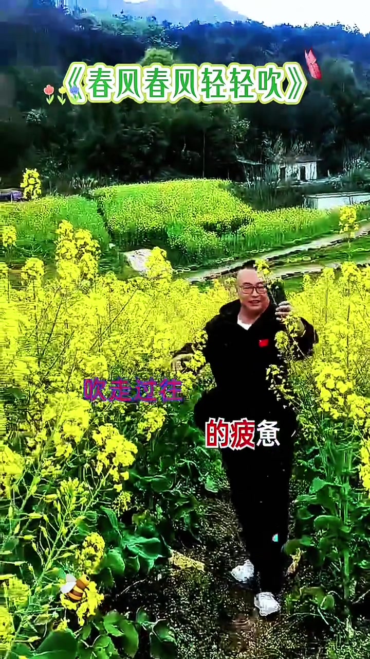 油菜花田美如画