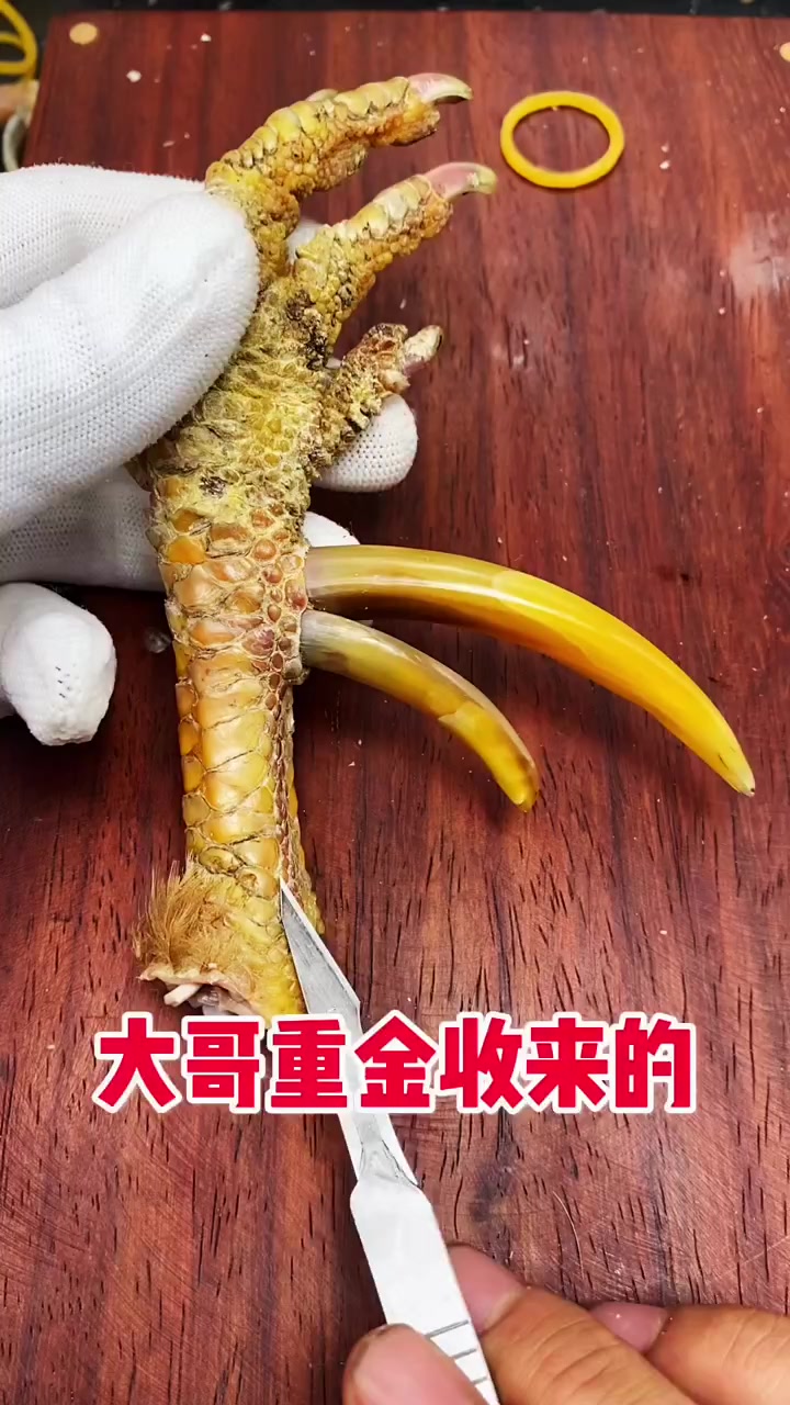 文玩鸡爪骨与鸡蹬子