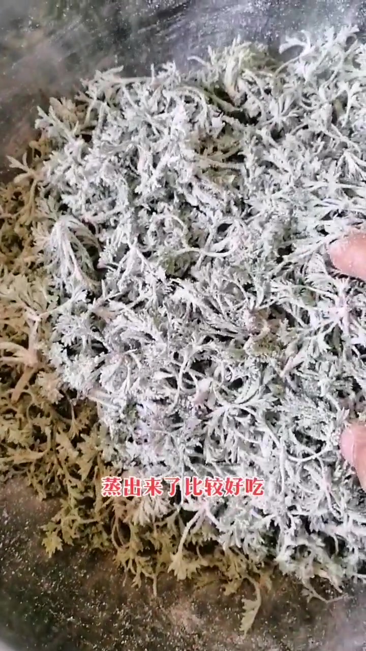 春天的野菜与大自然的馈赠