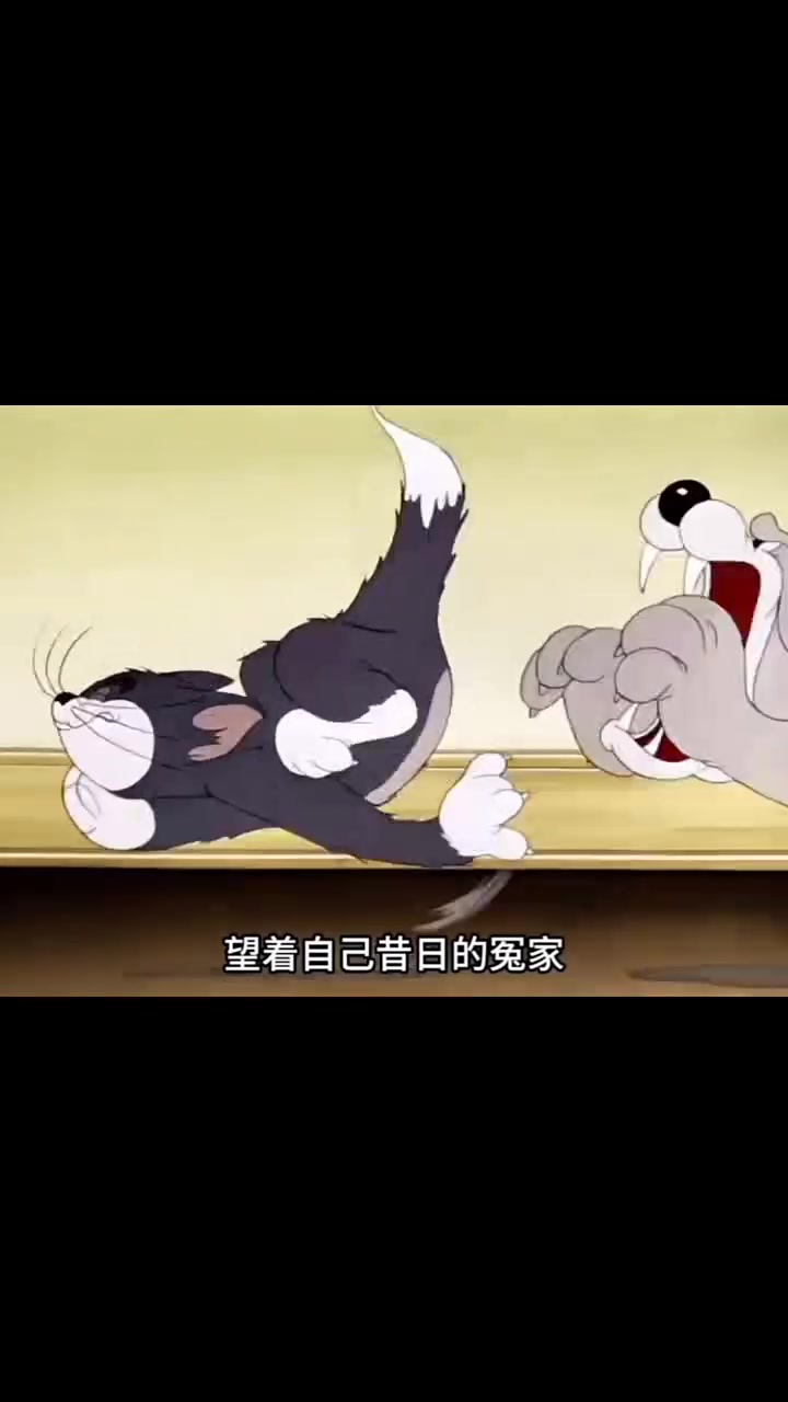#喜爱度激励计划 #汤姆和杰瑞 #猫和老鼠系列 #二次元动画