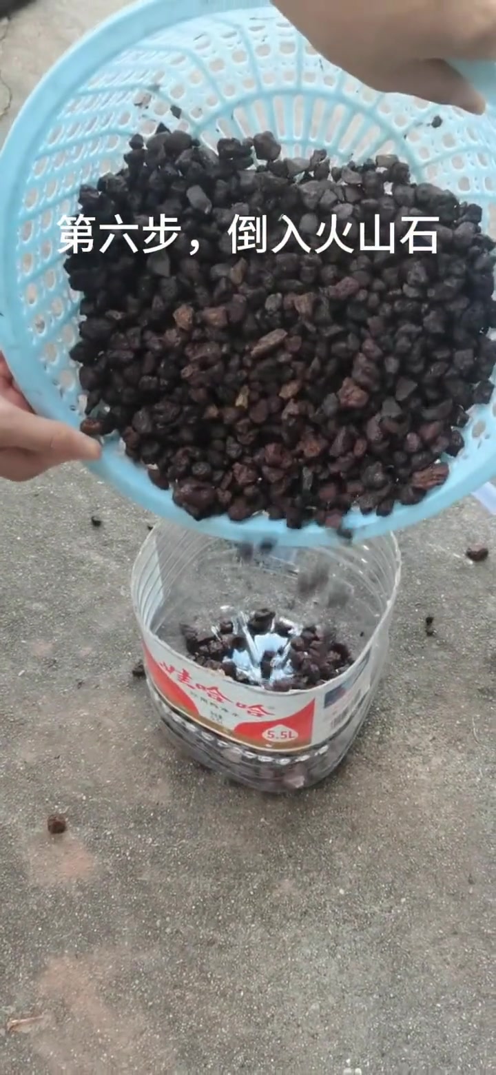 流水桶鱼缸自制的完整制作流程来了