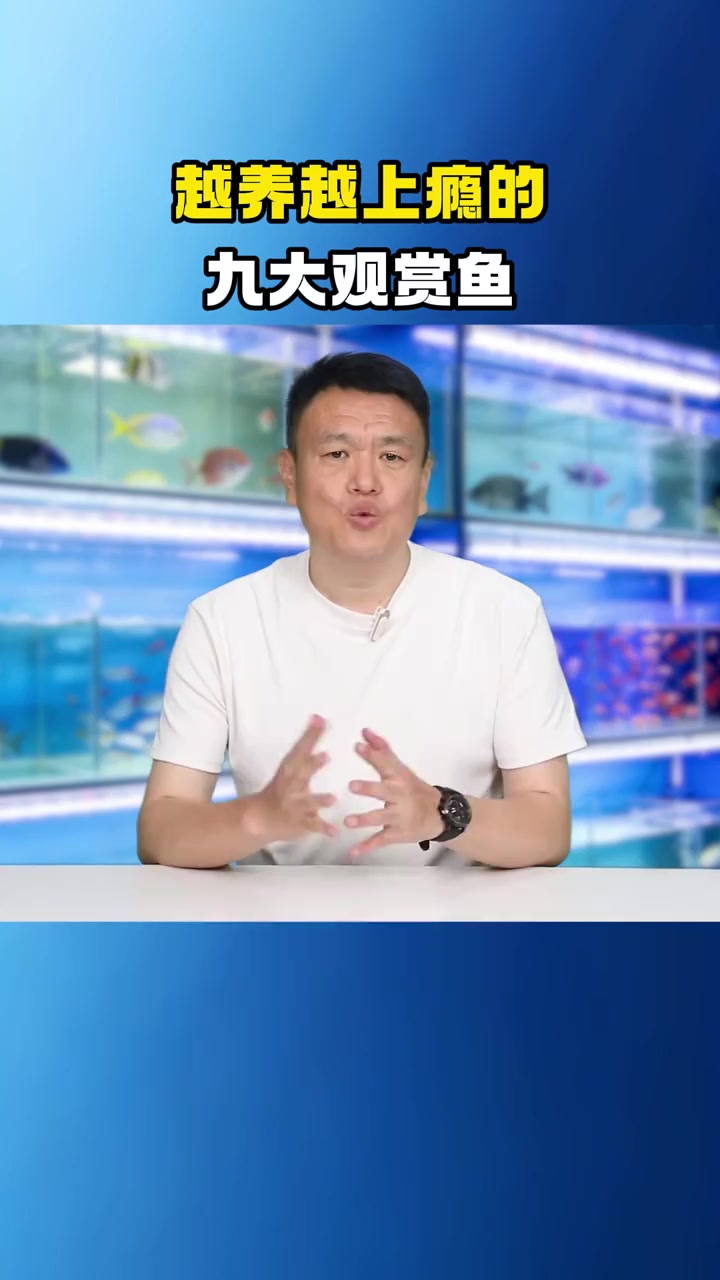 越养越上瘾的九大观赏鱼，条条都是新手懒人福音！