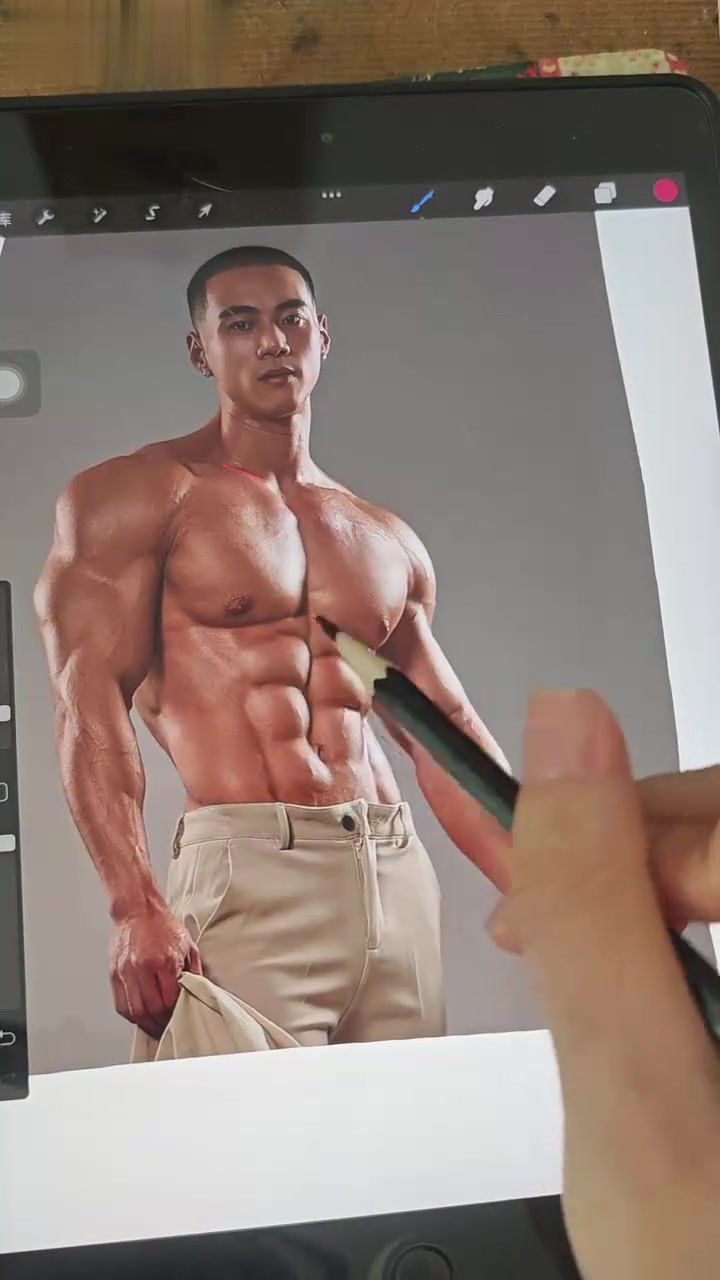人体结构新手必看，秒懂躯干肌肉画法
