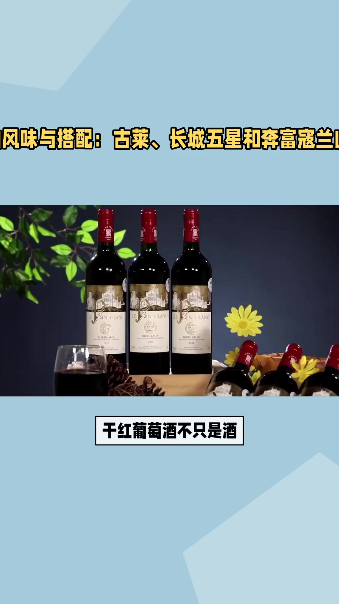 哪个品牌干红葡萄酒口感好又有档次？5款实测带你轻松挑