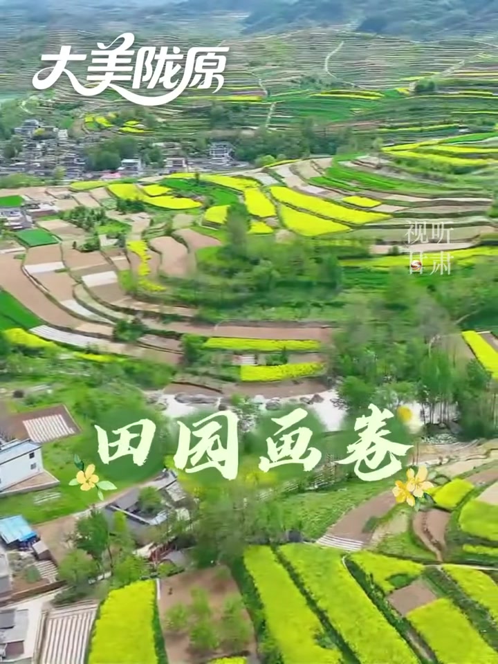 大美陇原｜万亩梯田画中游 油菜花海染锦绣！（甘肃广电总台全媒体记者：余恩波 刘向红 王亚龙