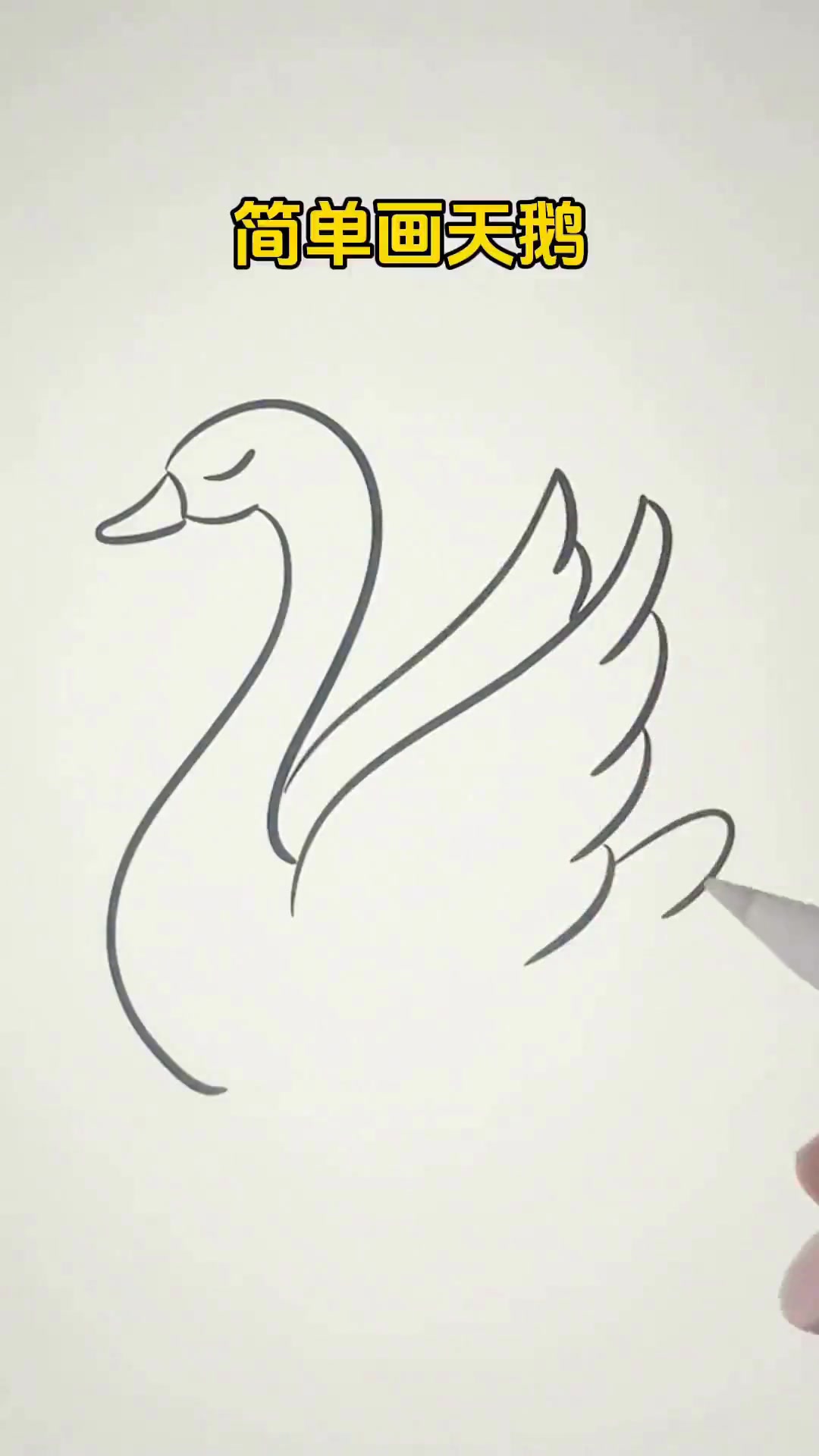 跟着学画简单又好看的天鹅简笔画