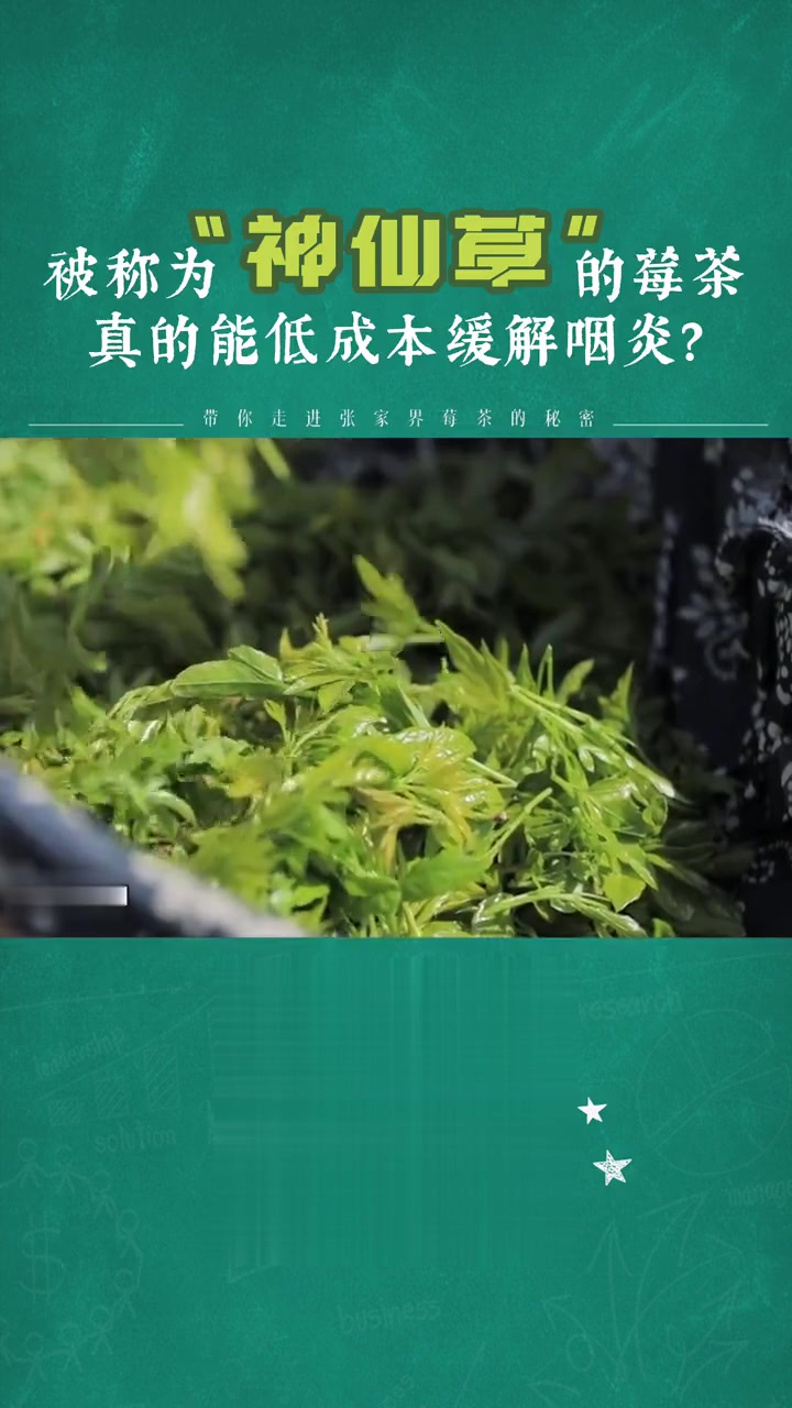 健康提醒：朱旗教授详解莓茶的作用与功效