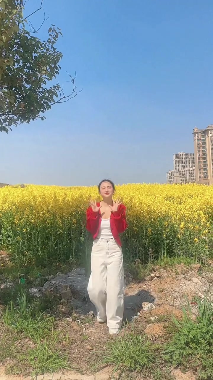 沙洋的油菜花真好看！
