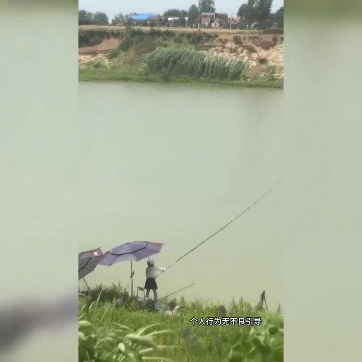 九米鱼竿轻盈舞动，河边女子钓鱼手法惊艳