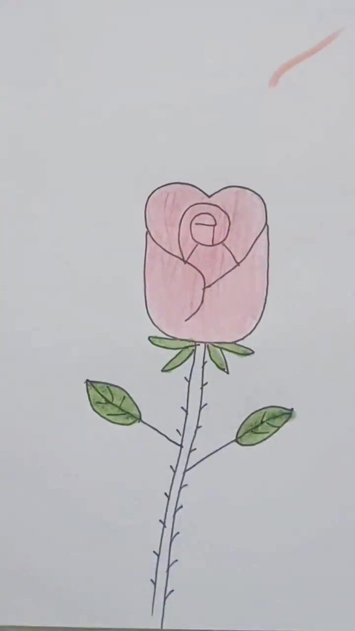 简单易学的玫瑰花简笔画教程