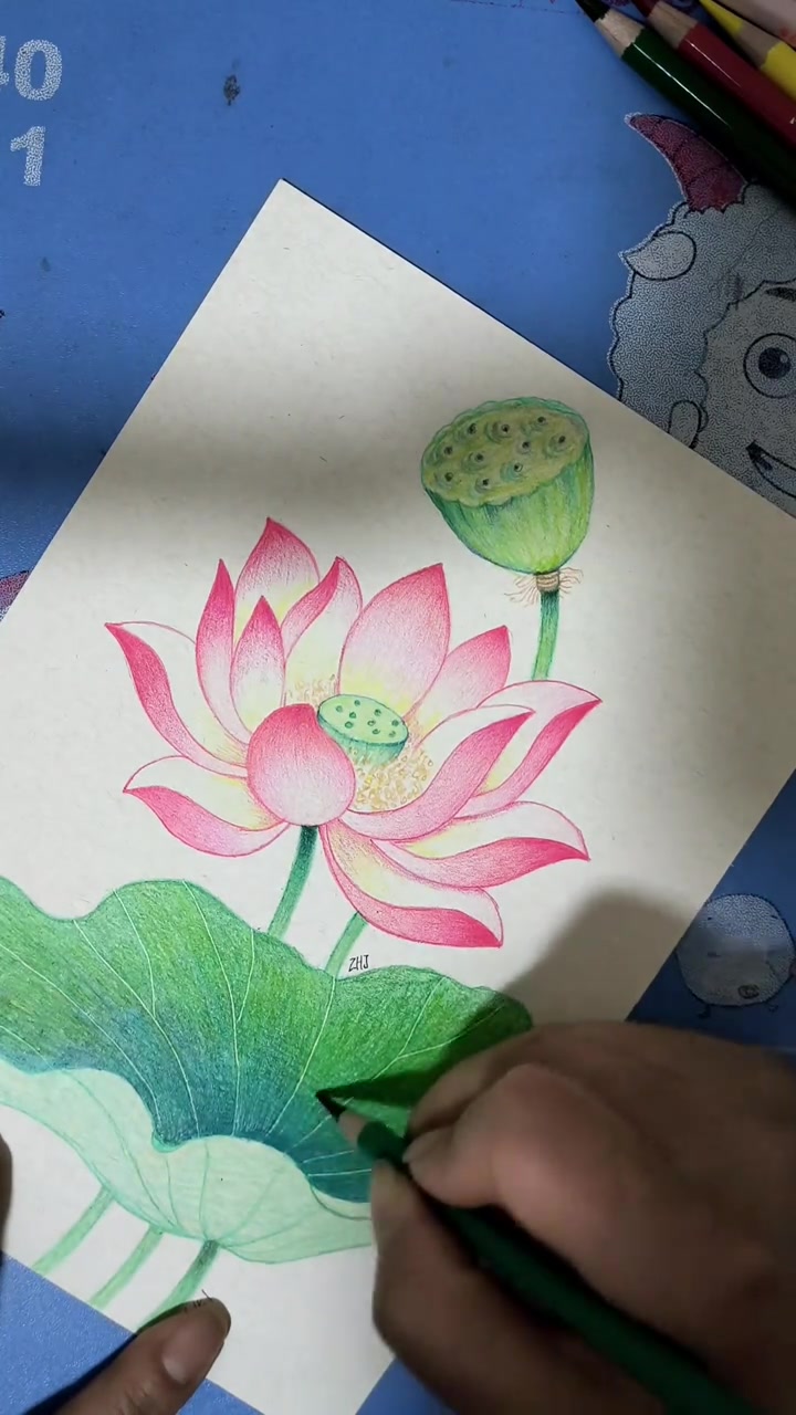 简单介绍彩铅画荷花的方法