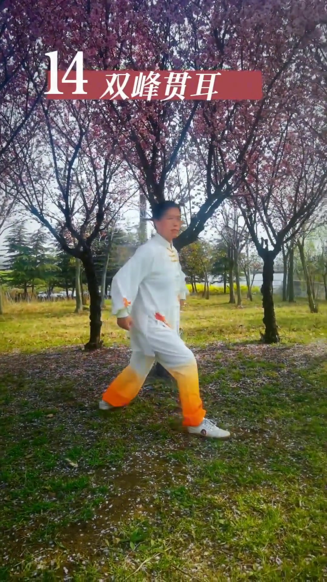 「二十四式太极拳」一花一世界，一念一清净，一人一太极