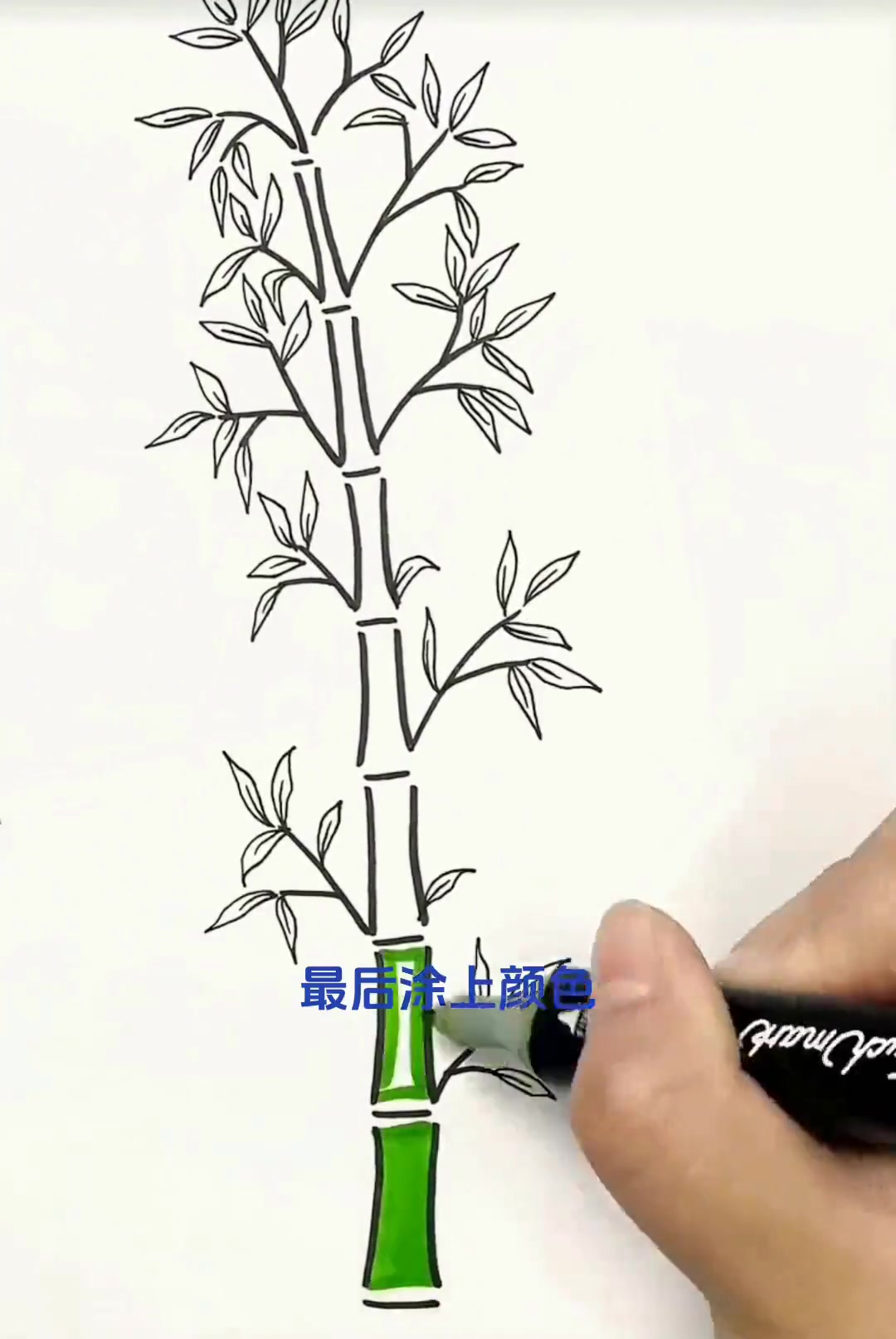 简笔画画竹子竹叶，一看就会超简单