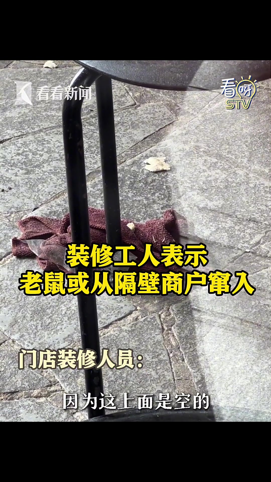 上海网红面包店 惊现“料理鼠王”？