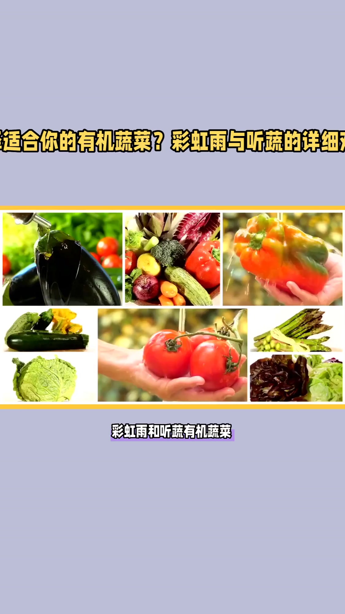 彩虹雨和听蔬有机蔬菜怎么选，哪个好？6大关键指标对比，帮你避开购买误区