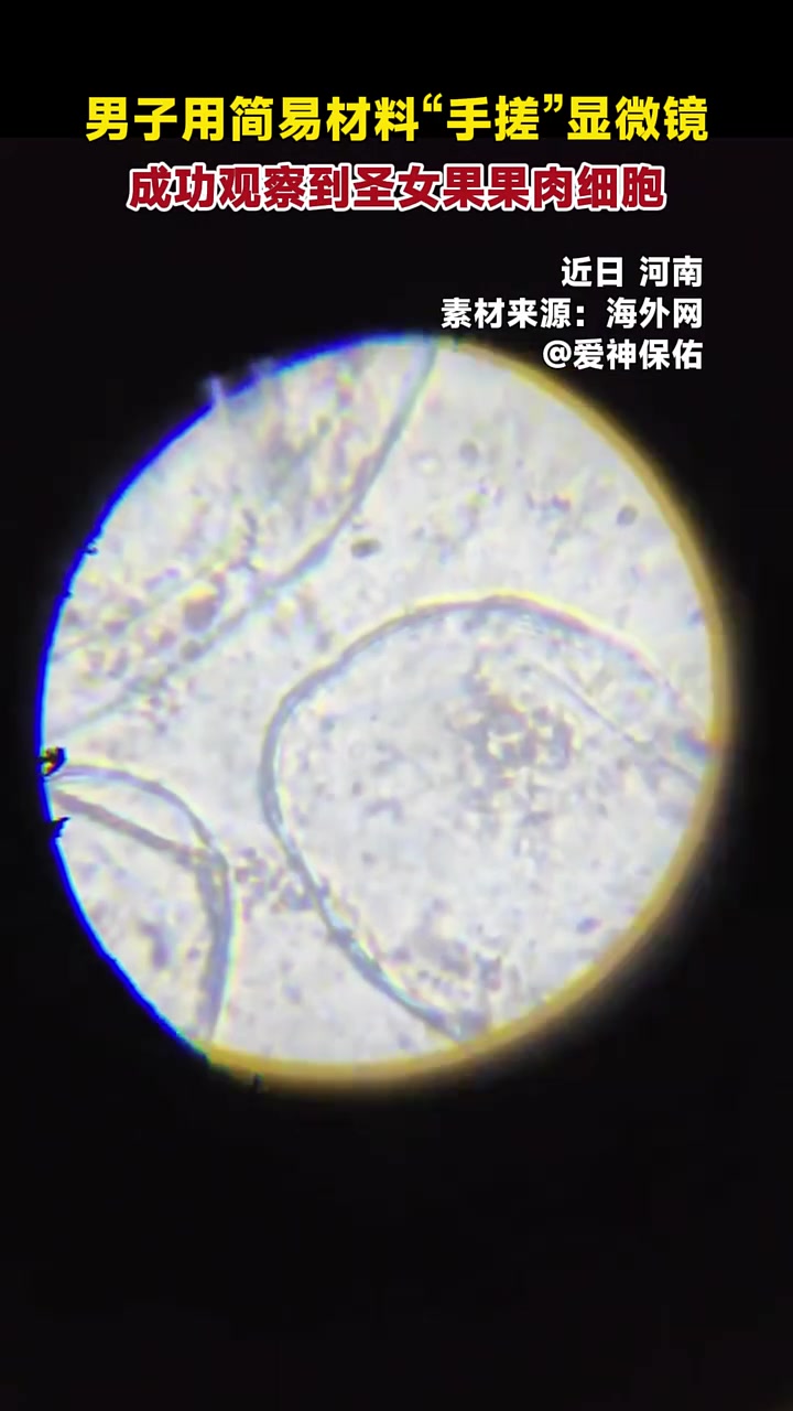 男子用简易材料“手搓”显微镜,成功观察到圣女果果肉细胞