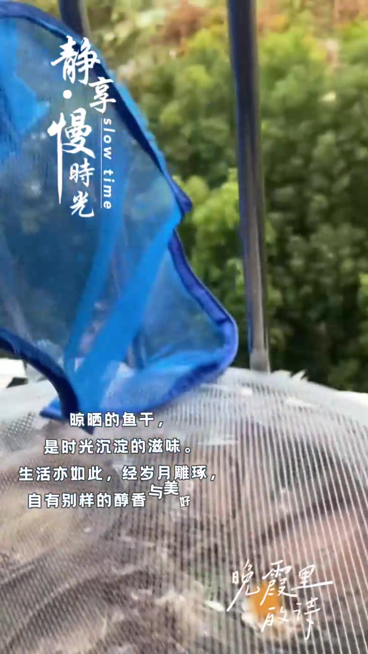 风干喜头鱼，味道好极了！