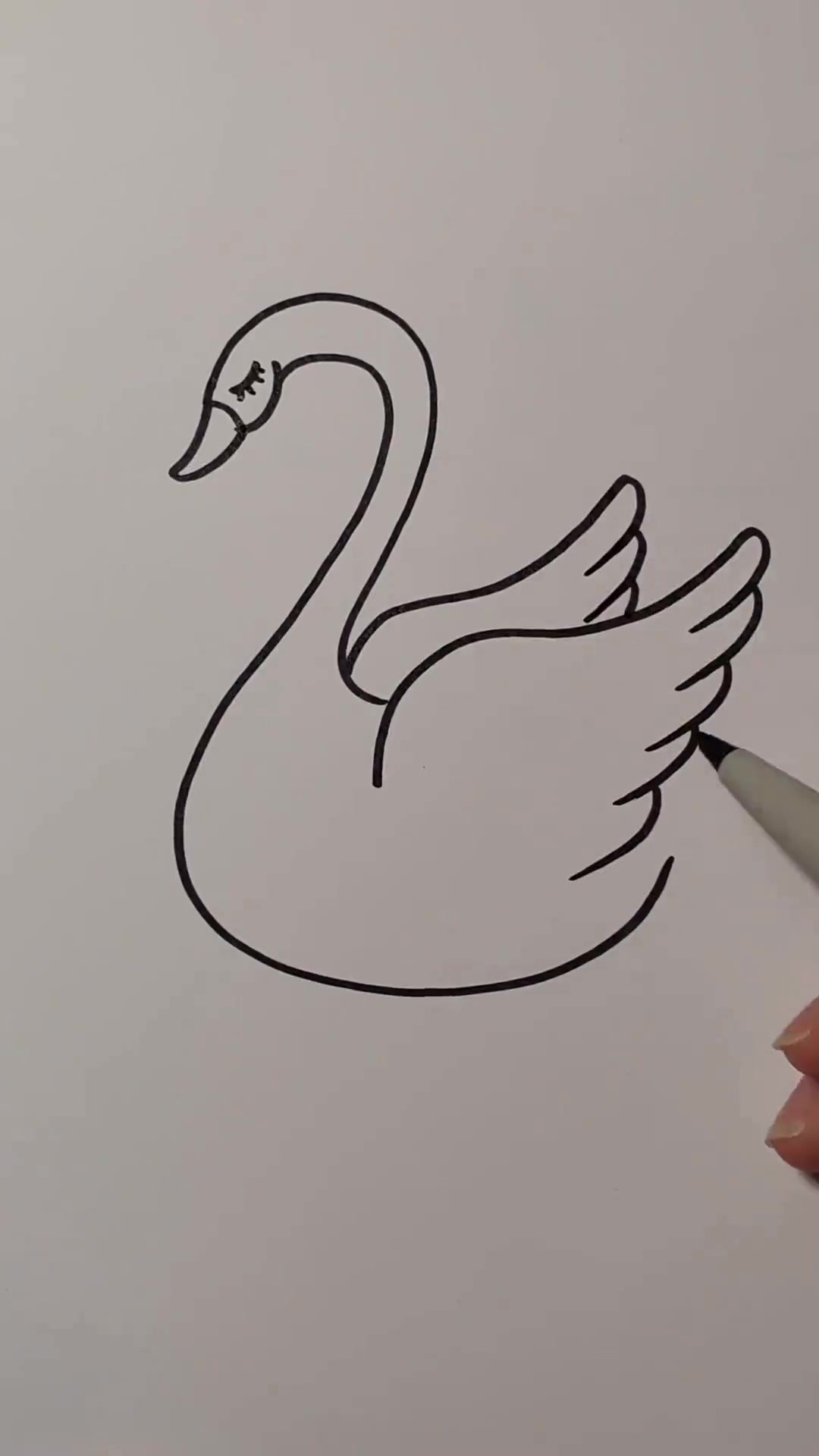 白天鹅简笔画，这样画起来真的很简单