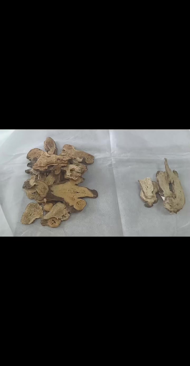 医生提醒，麸炒白术看断面辨炒透！