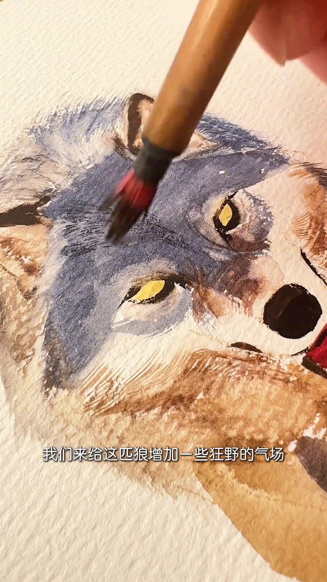 狼的水彩绘画教程，凶猛荒野王者的绘画技巧