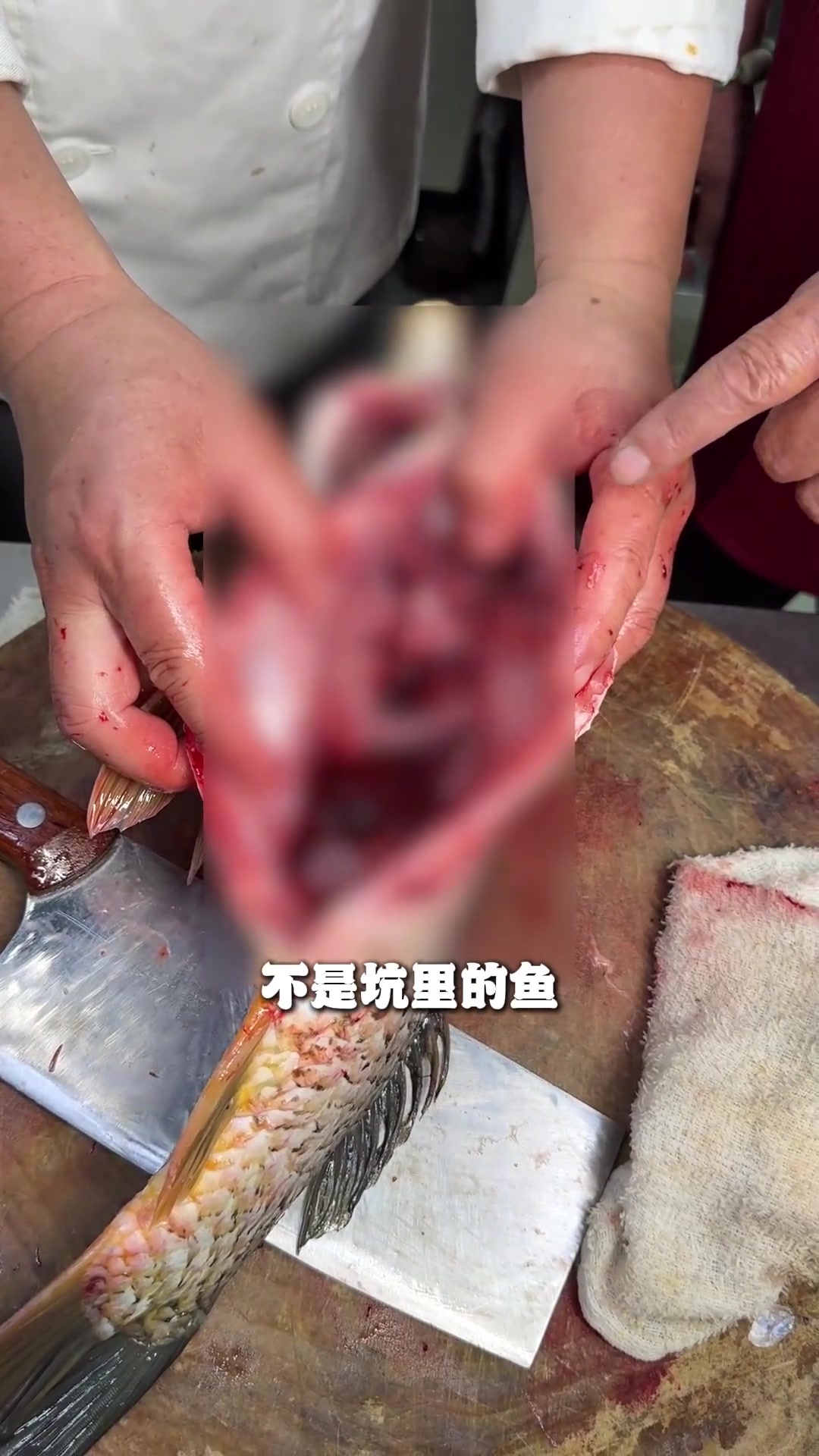 千年豫菜，薪火相传。鲤鱼焙面，河南最真挚的待客之道