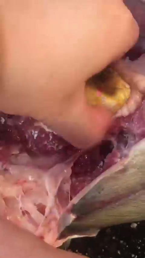 鱼嘴里能长出玉？大青上颚的软骨叫活玉，曾是大户孩子佩戴物