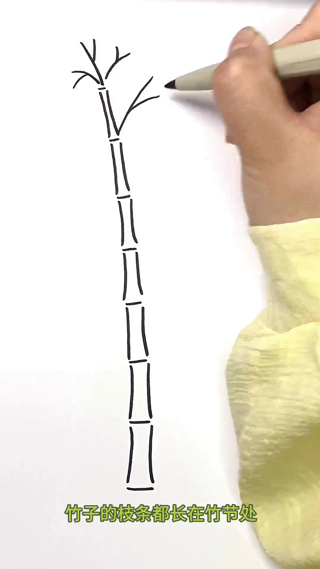 竹子简笔画教程用“一”和“1”就能画，简单易学