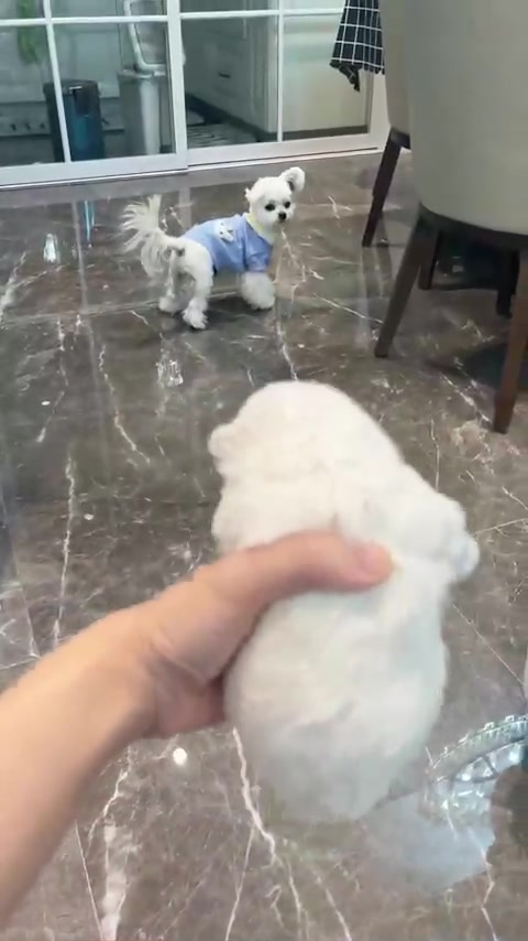 大饼油条：这盛世如我们所愿！