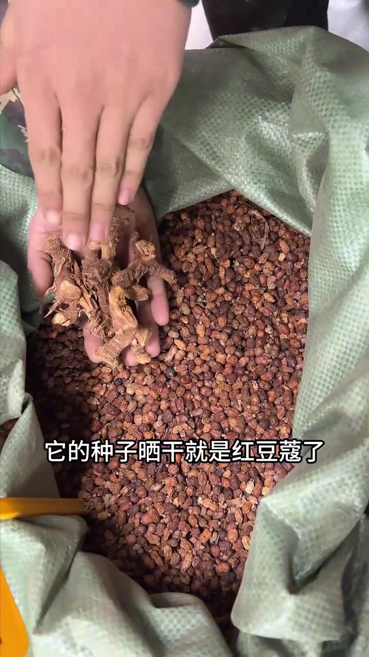 四种豆蔻香料，各自作用一次性讲清
