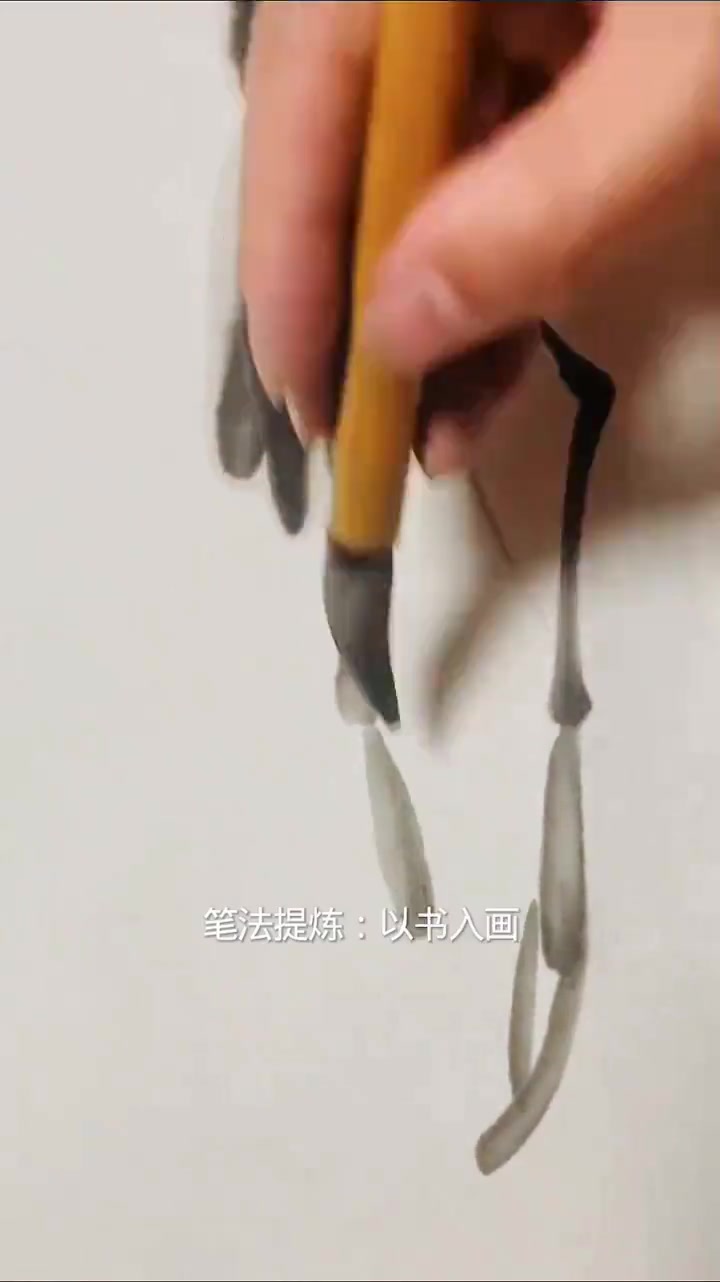 跟着齐白石学画活灵活现的可爱小虾