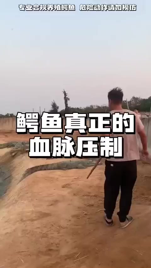 鳄鱼对待男人和女人区别也太大了！