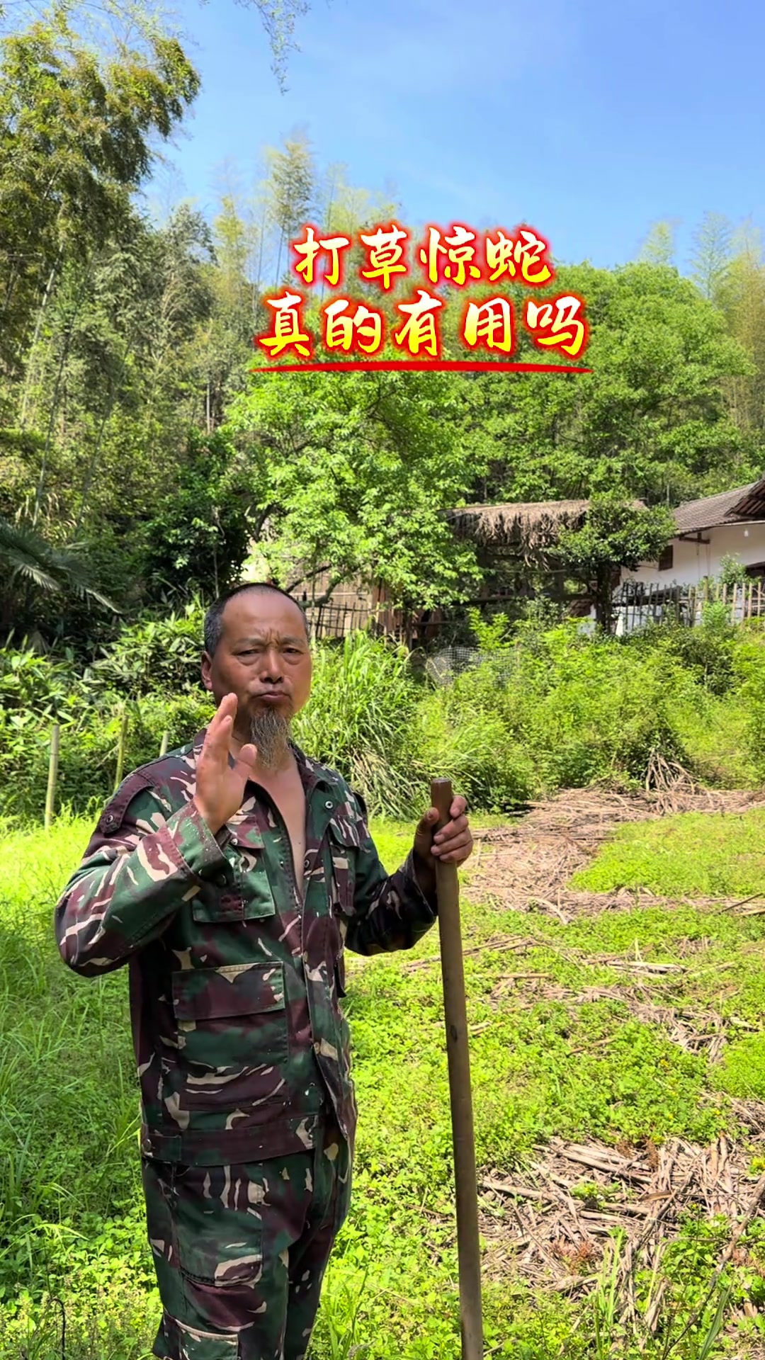 鸡冠蛇不会说人话，却会追小孩！
