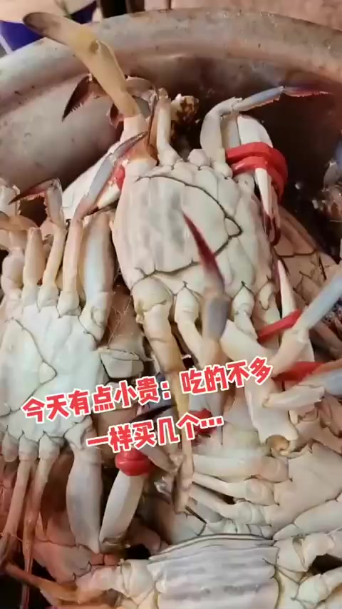 我们青岛真是个好城市，海鲜是我们的家常菜