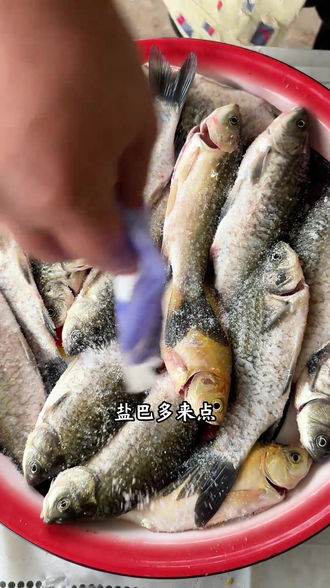 鲫鱼家常做法，鲜香麻辣超下饭