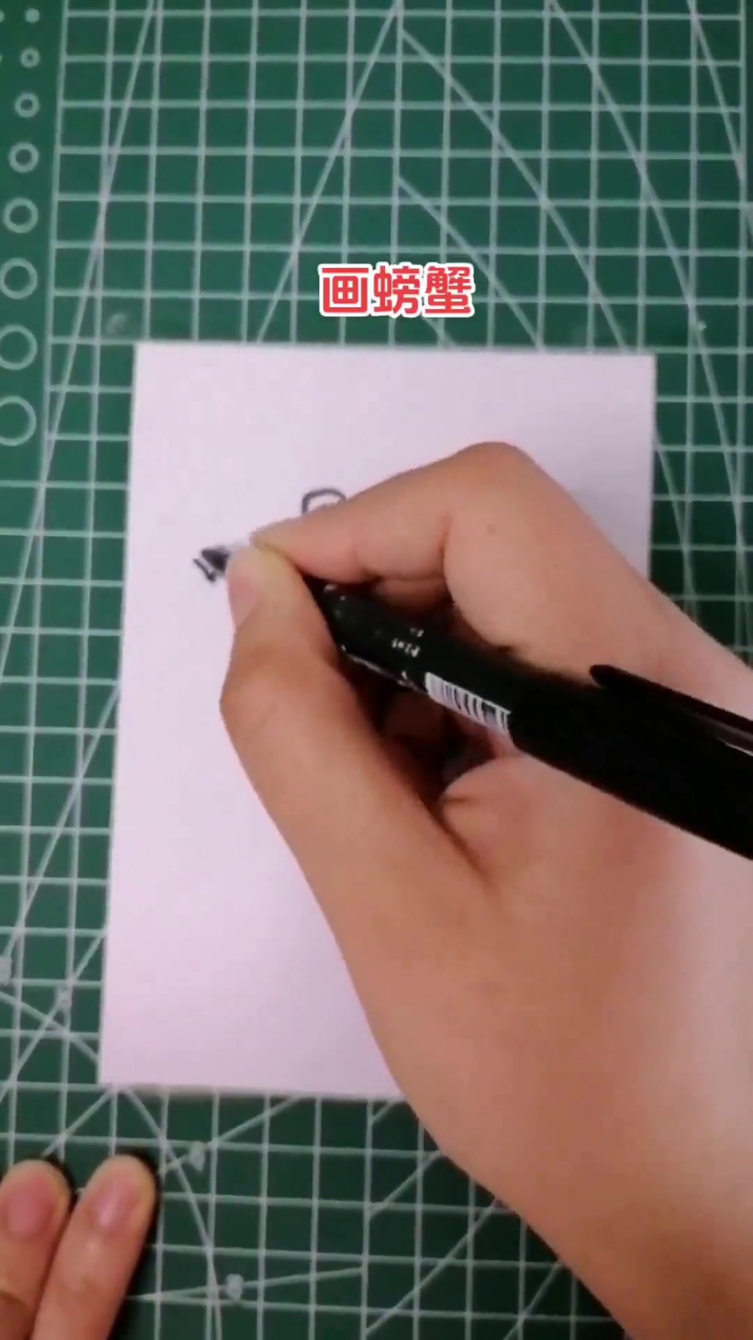 画螃蟹，超简单的3-6岁儿童创意简笔画