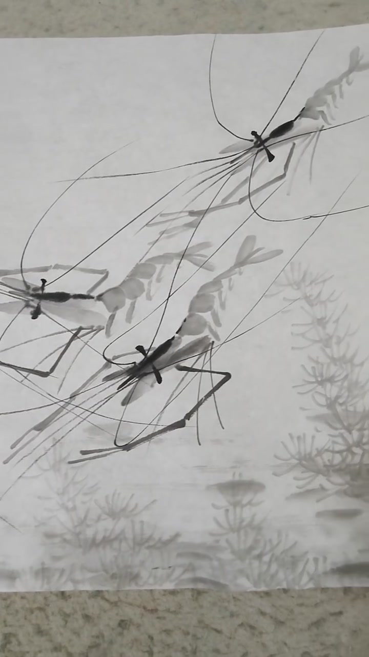 水墨虾 #水墨虾 #齐白石水墨虾