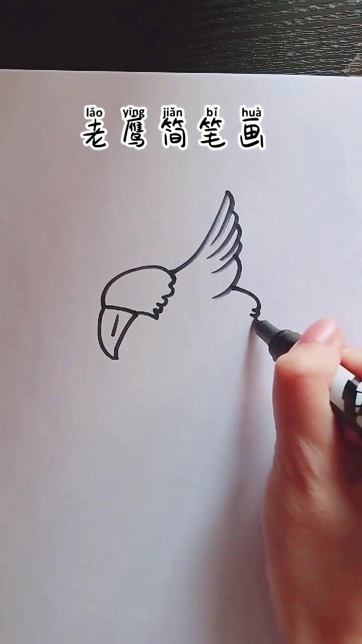 一学就会的老鹰简笔画 新手也能轻松学会
