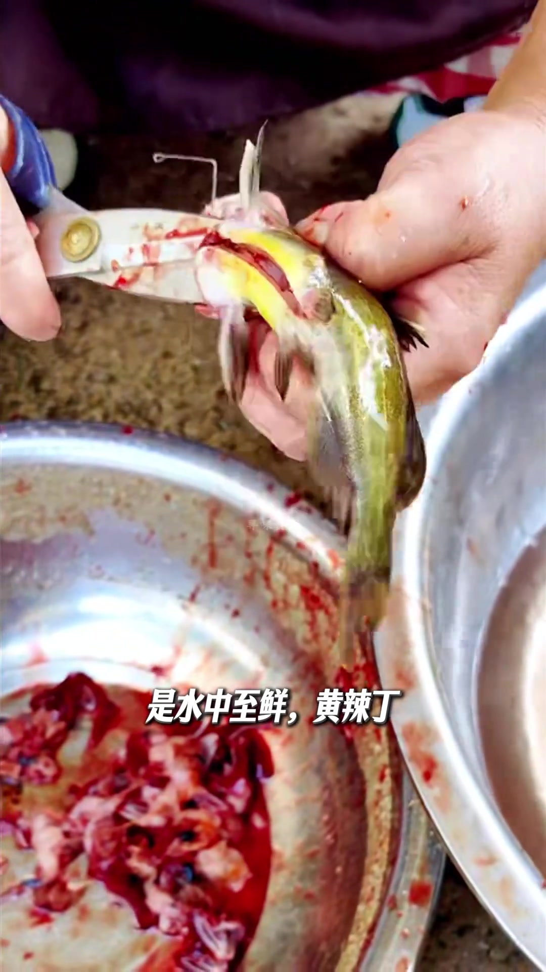 寻味贵州糟辣鱼，鲜爽够味