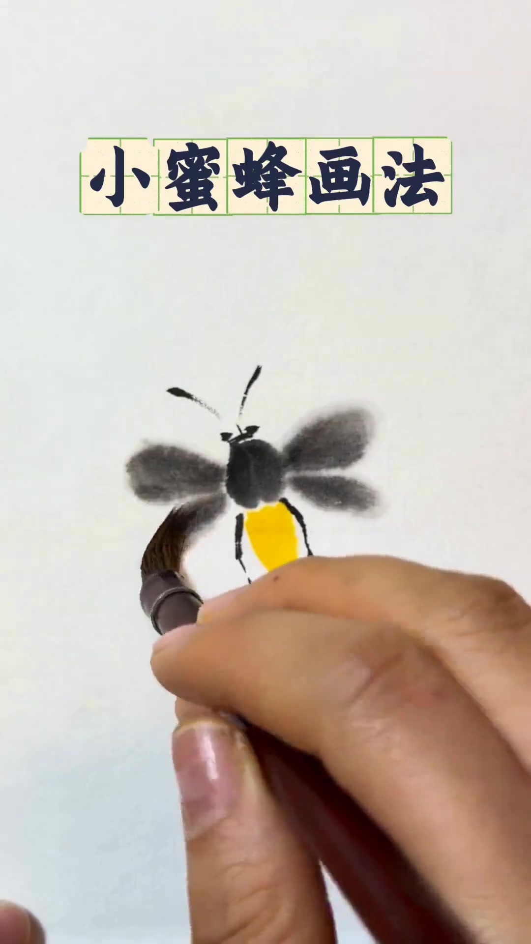 国画小蜜蜂的简单画法，新手一看就能学会