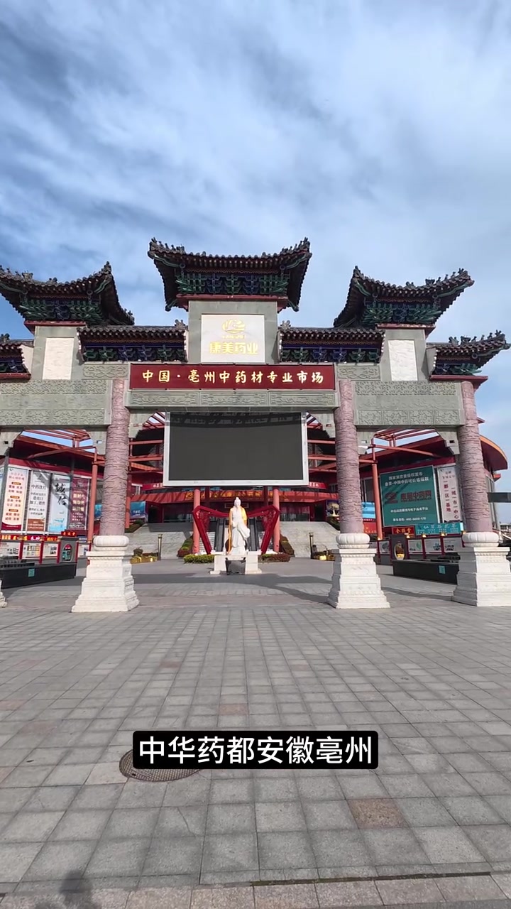 第276集｜肠胃积滞别硬扛！鸡矢藤温和理气消胀，简单易坚持，养生党日常别错过～今天，带大家